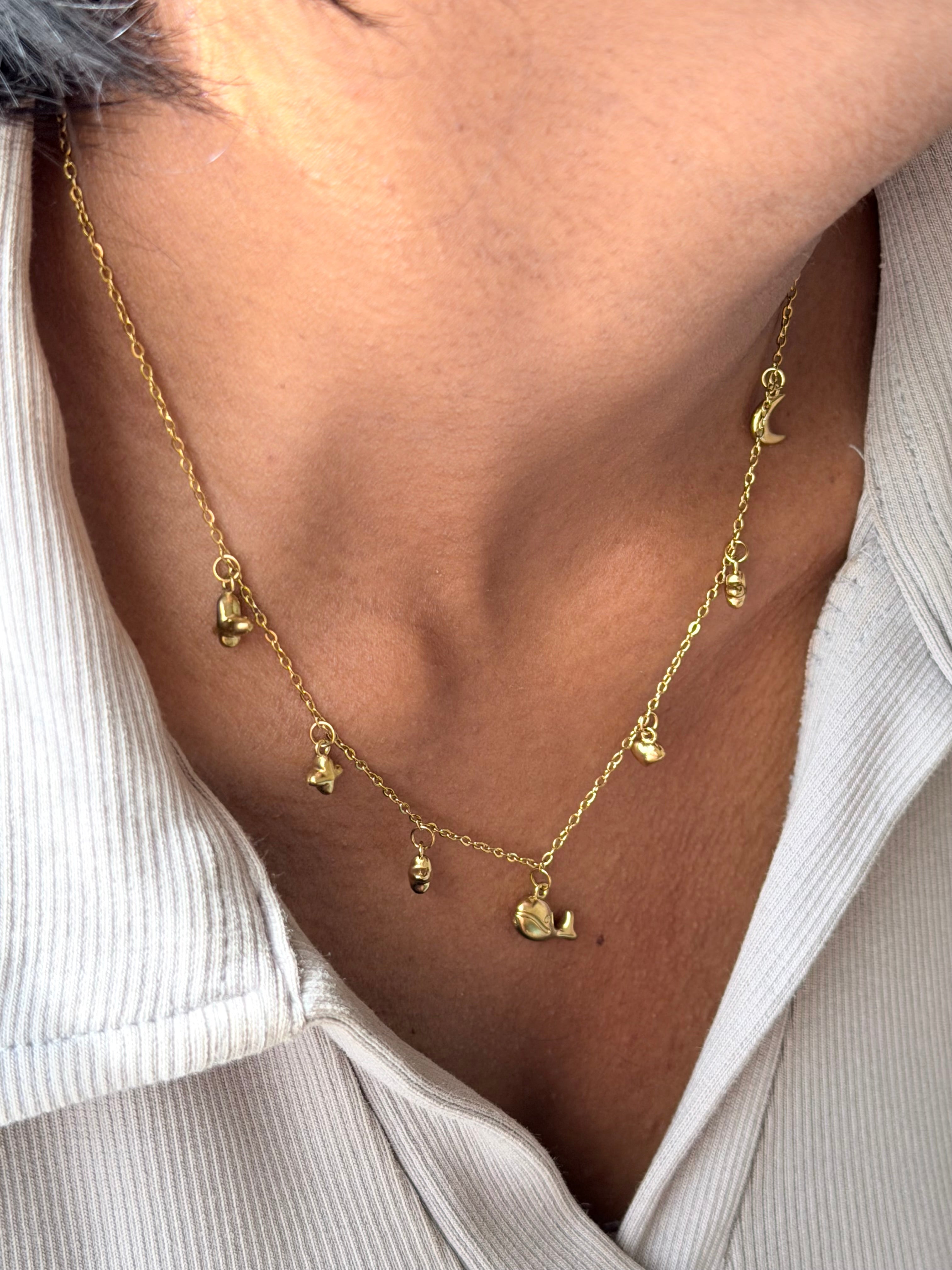 Dolphin Charm necklace